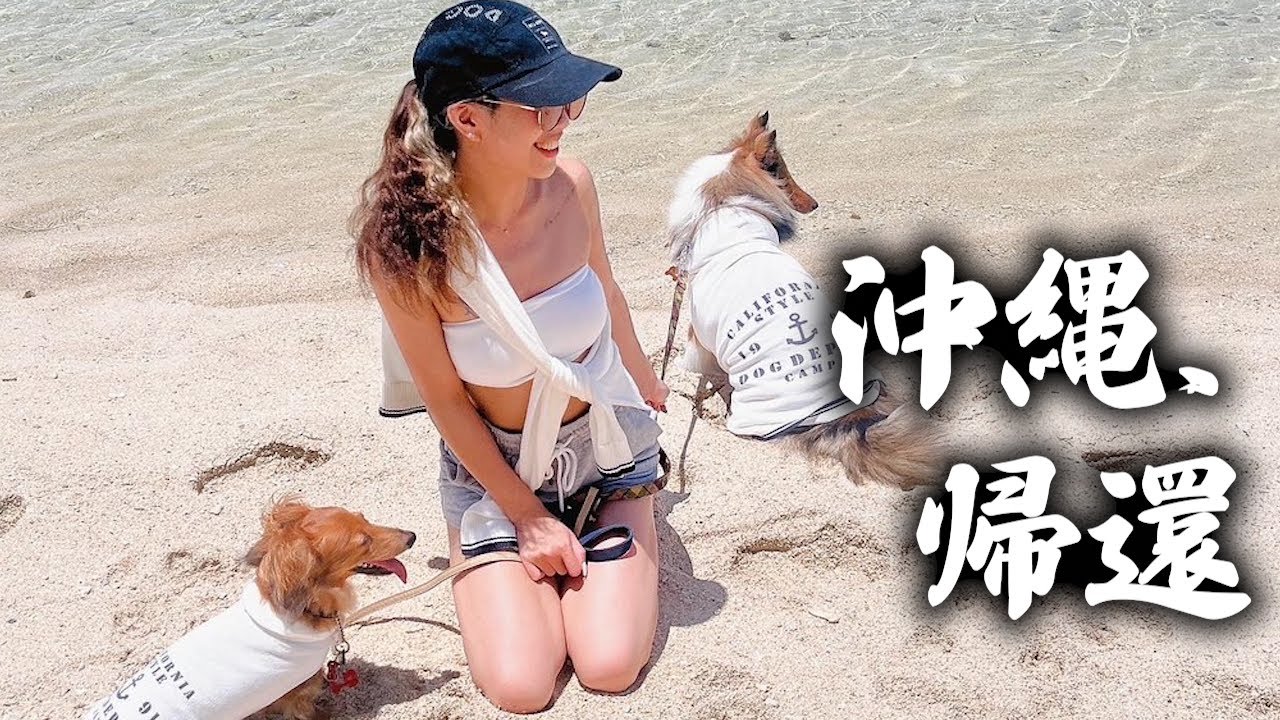 一週間犬連れて沖縄いってきたぞおおおおお - YouTube