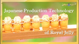 Japanese Production Technology of Royal Jelly(1\/2)