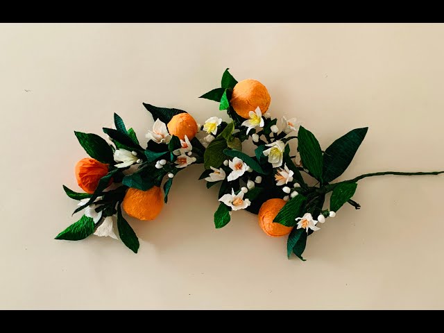 A branch of Orange blossoms
