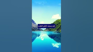 مَنْ كَانَ يُرِيدُ الْعِزَّةَ فَلِلَّهِ الْعِزَّةُ جَمِيعًا ۚ ❤️#اطمئنان  #راحة_نفسية #سورة_فاطر