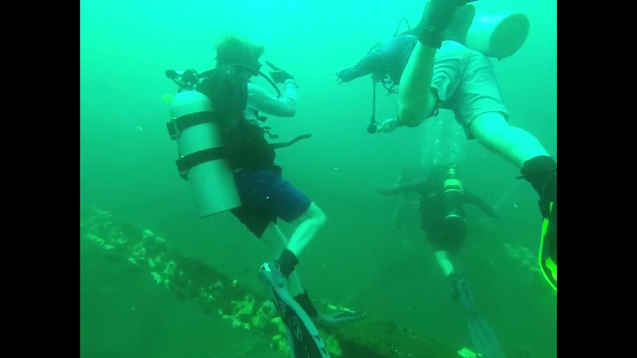 Scuba Diving Bridge Span 14. PCB. GoPro Hero4 scuba pcb YouTube