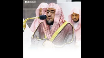 تلاوة جميلة جدا 🥰 الشيخ بندر بليلة #بندر_بليلة Sheikh Bandar Baleela #bandar_baleela