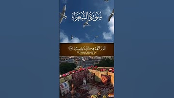 سورة الشعراء #القرآن_الكريم #المصحف #اكسبلور