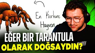 Efe Uygaç Eğer Bi̇r Tarantula Olarak Doğsaydin İzli̇yor