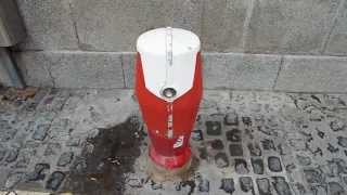 Portuguese Dry Barrel Fire Hydrant with Salt Protection Hood