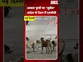 आवारा कुत्तों पर 'सुप्रीम' आदेश से टेंशन में एमसीडी | SBT News |