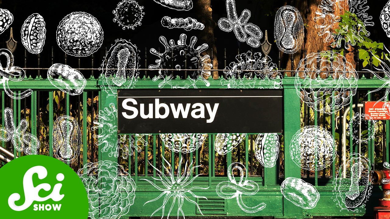 Original Title & Thumbnail