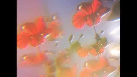 Wash - Spread (Yourself)