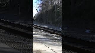 The Tragic Death of Myrtle Knox #history #historylovers #train #tragicending #paranormal