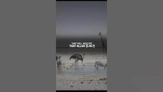 1 HUGE SIGN ALLAH IS  HAPPY WITH YOU