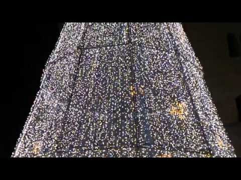 O Christmas Tree