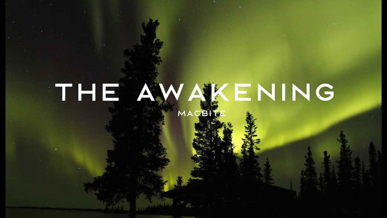 The Awakening | Macbite