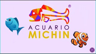 ACUARIO MICHIN - ASÍ ES