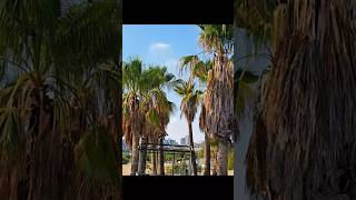 Adanadan İnsanı Mest Eden Görüntüler