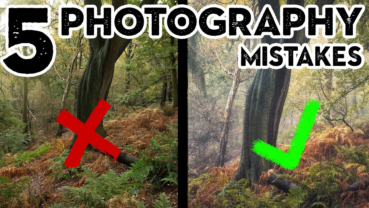 5 Common Woodland Photography Mistakes (and how to fix them)