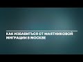 Бизнес за ТТК: как решить транспортную проблему для 3,5 млн москвичей