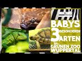 Zoo Wuppertal: 3 besondere ARTEN im Gesundheitscheck | zoos.media