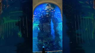 World’s Biggest Airport Aquarium 🐟#aquarium #jeddah #saudiarabia