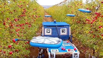 Flying Fruit-Harvesting Drones / Flying Fruit Pickers
