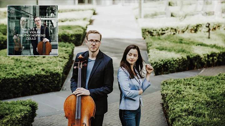 Timothy Hopkins   Salute to the Violin
