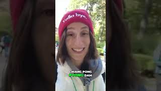 Is Nami Island Its Own Country?