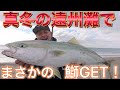 まじか！？こんな大物釣れるの？静岡遠征！2019/12