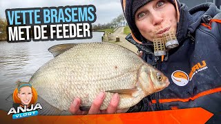 Mega Veel Brasem Met De Feeder.