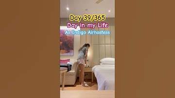 Day 39 of 365 Days | Indigo Cabin crew Life #trending #youtube #shorts #viral #indigo #airhostess