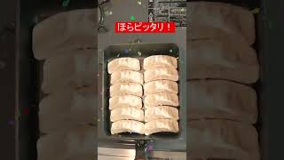 Just size!!卵焼き器で冷凍餃子を焼こう