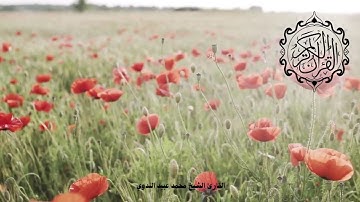 سورة يس كاملة للقارئ الشيخ محمد عبيدالله   تلاوة خاشعة ومؤثرةsurah yaseen #qurantilawah