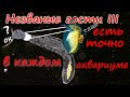 🌏 Незваные гости III  👉 червь с круглой головой и белые точки