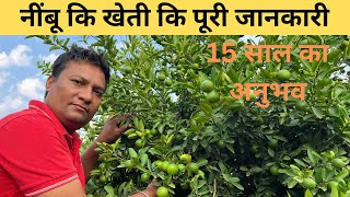 नींबू कि खेती का 15 साल का अनुभव नींबू में लगने वाले रोग से मिलेगा छुटकारा Advance Farming Agri