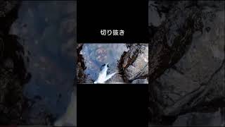 せっかく釣り上げたのに‥‥ #釣り好きと繋がりたい#青物#ヒラマサ#ブリ#ショアジギング #short