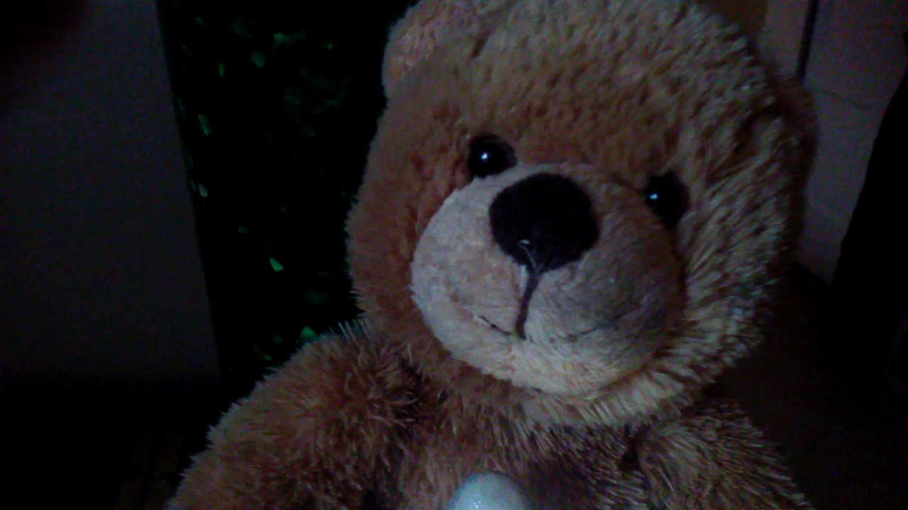 shining star teddy bear