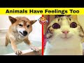 Hilarious Animals Who Simply Can’t Hide Their Emotions