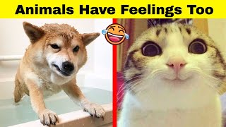 Hilarious Animals Who Simply Can’t Hide Their Emotions