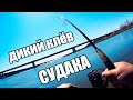 Ловля судака в Новосибирске. Рыбалка в Новосибирске!!!
