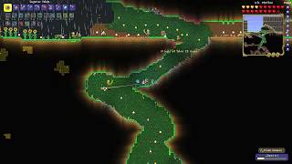 How to get a Gold Ring - Terraria 1.4