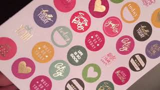 The Happy Planner Planner Basics Mini Sticker Book Flip Through