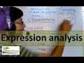 Gene expression analysis