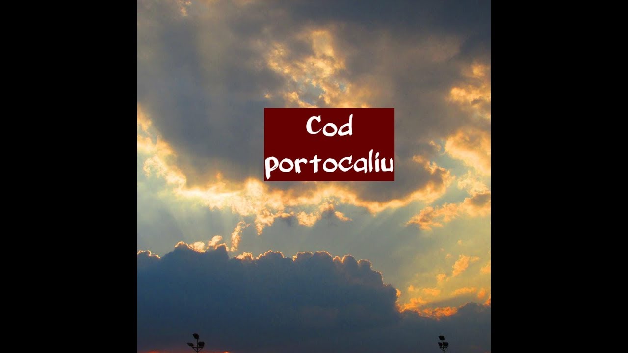 Vlog de vacanță-Cod portocaliu families for children