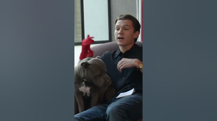 Tom Holland's dog gate-crashes an interview 😂