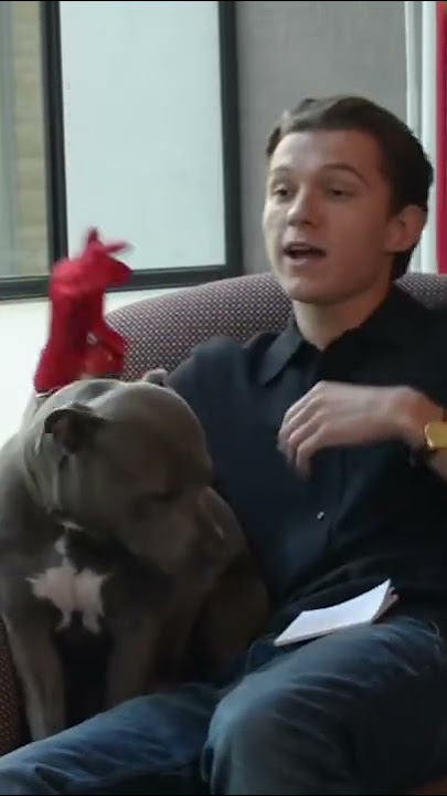 Tom Holland's dog gate-crashes an interview 😂