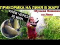 30 МИНУТ И ЛИНЬ НА ТОЧКЕ. Ловля линя. Рыбалка на линя лучшая прикормка и наживка.