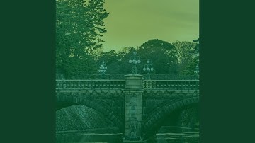 Pulsating Seeing New Places