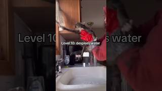 Cats But They Hate Water More