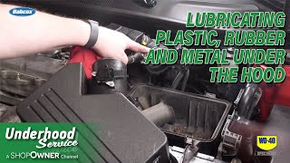 Lubricating Plastic, Rubber, And Metal Under The Hood screenshot 4