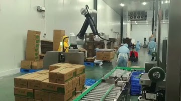 Palletizing Robots Carton Palletizer
