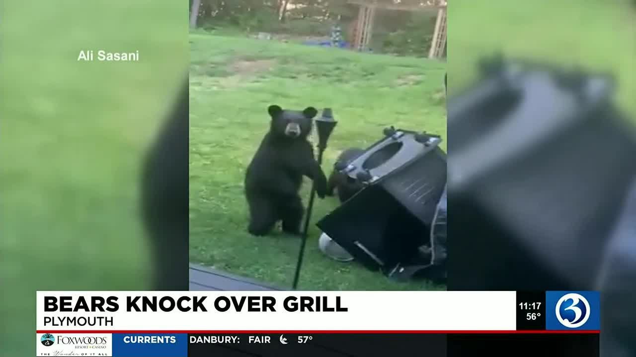 Free Outdoor Events In Plymouth Ma This Weekend Free Outdoor Events In Plymouth Ma This Weekend