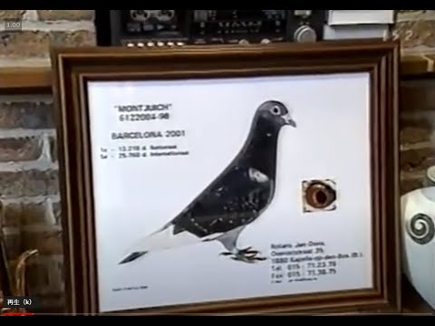 ベルギ ボードワン国王のバルセロナインターナショナルレース2002年 YouTube